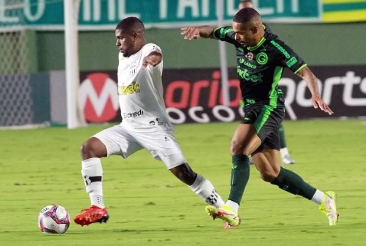 ponte03-11-2021_06-0