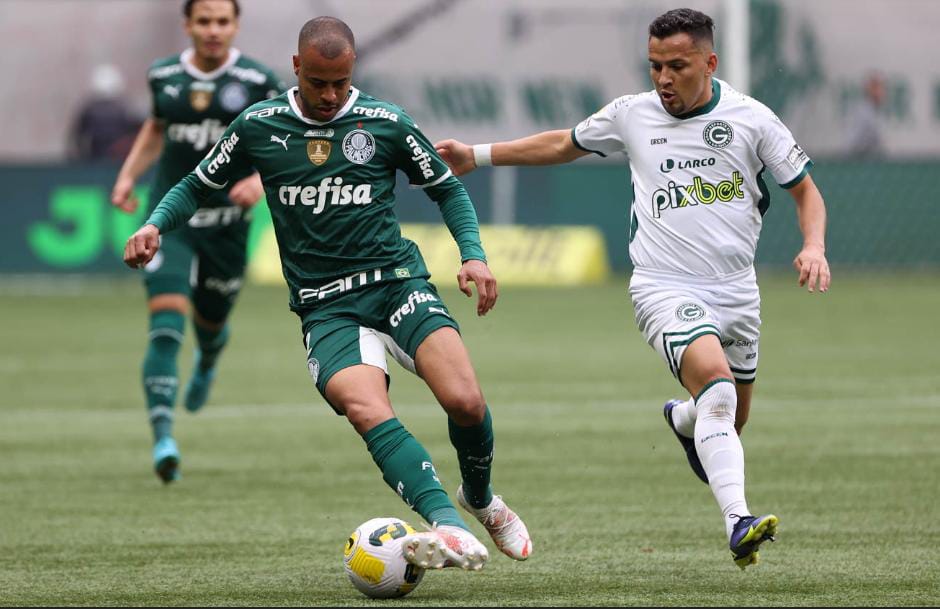 Palmeiras-x-Goias-2