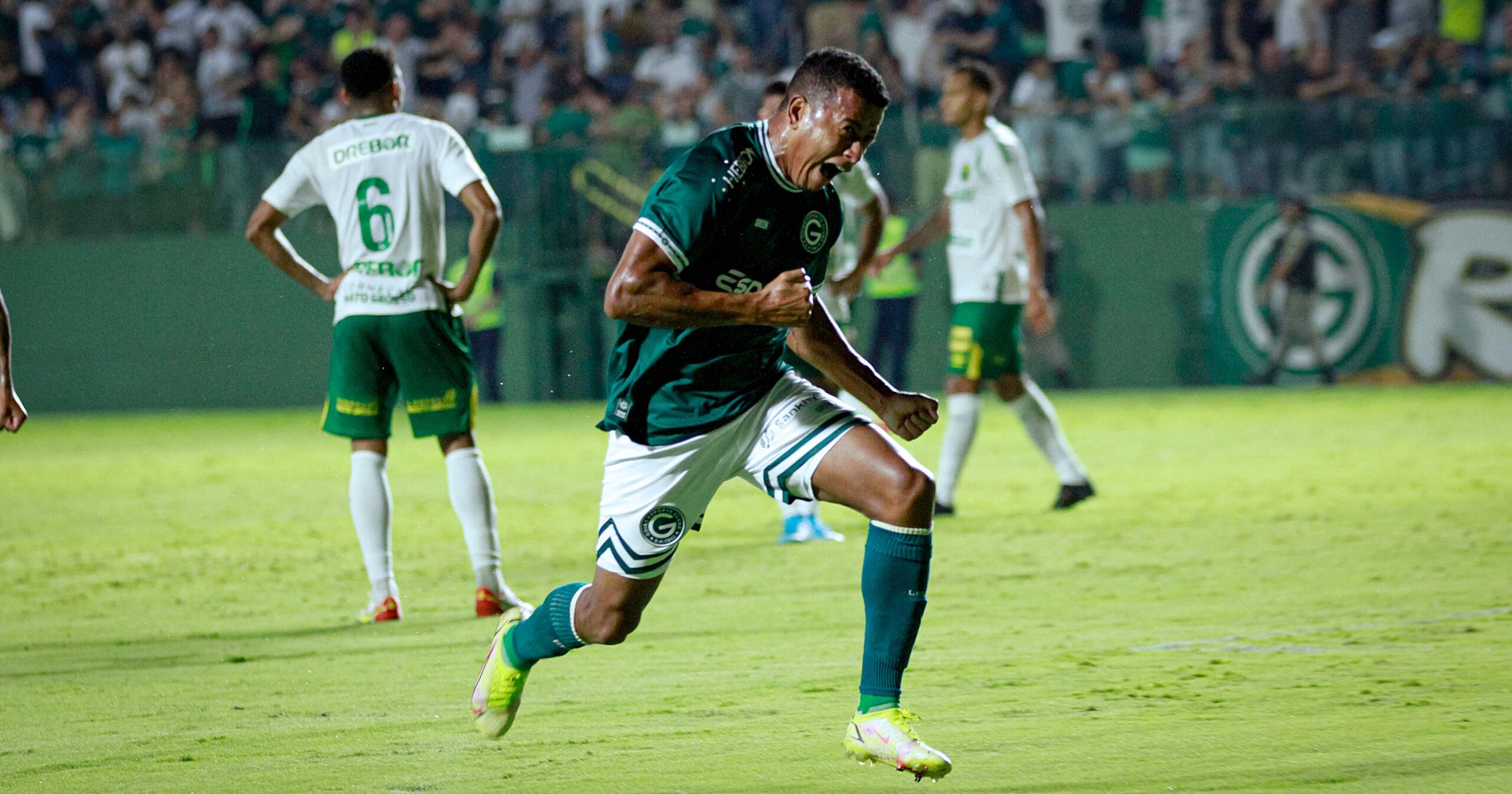 maguinho goiás