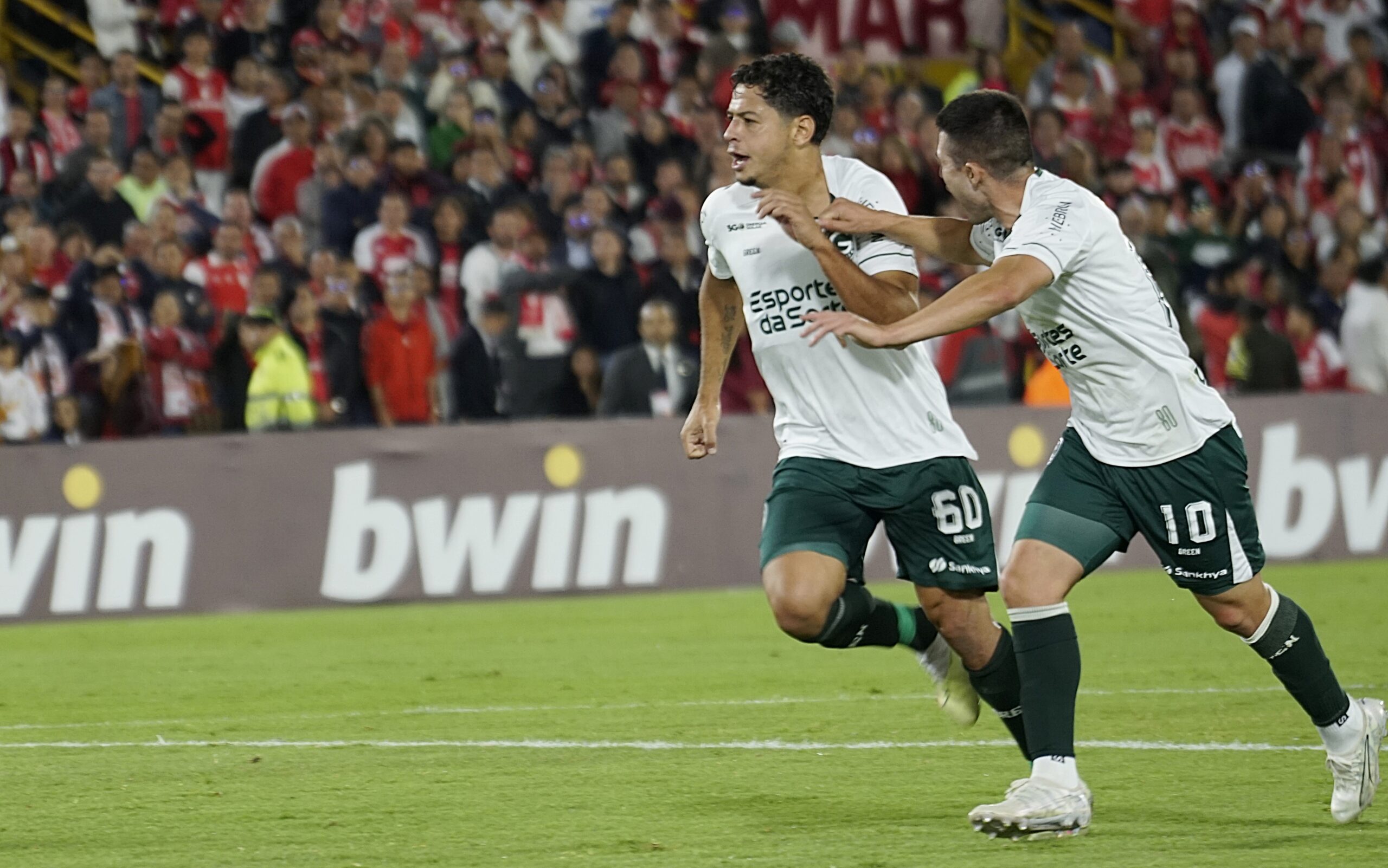 guilherme goias sula guilherme goias sula