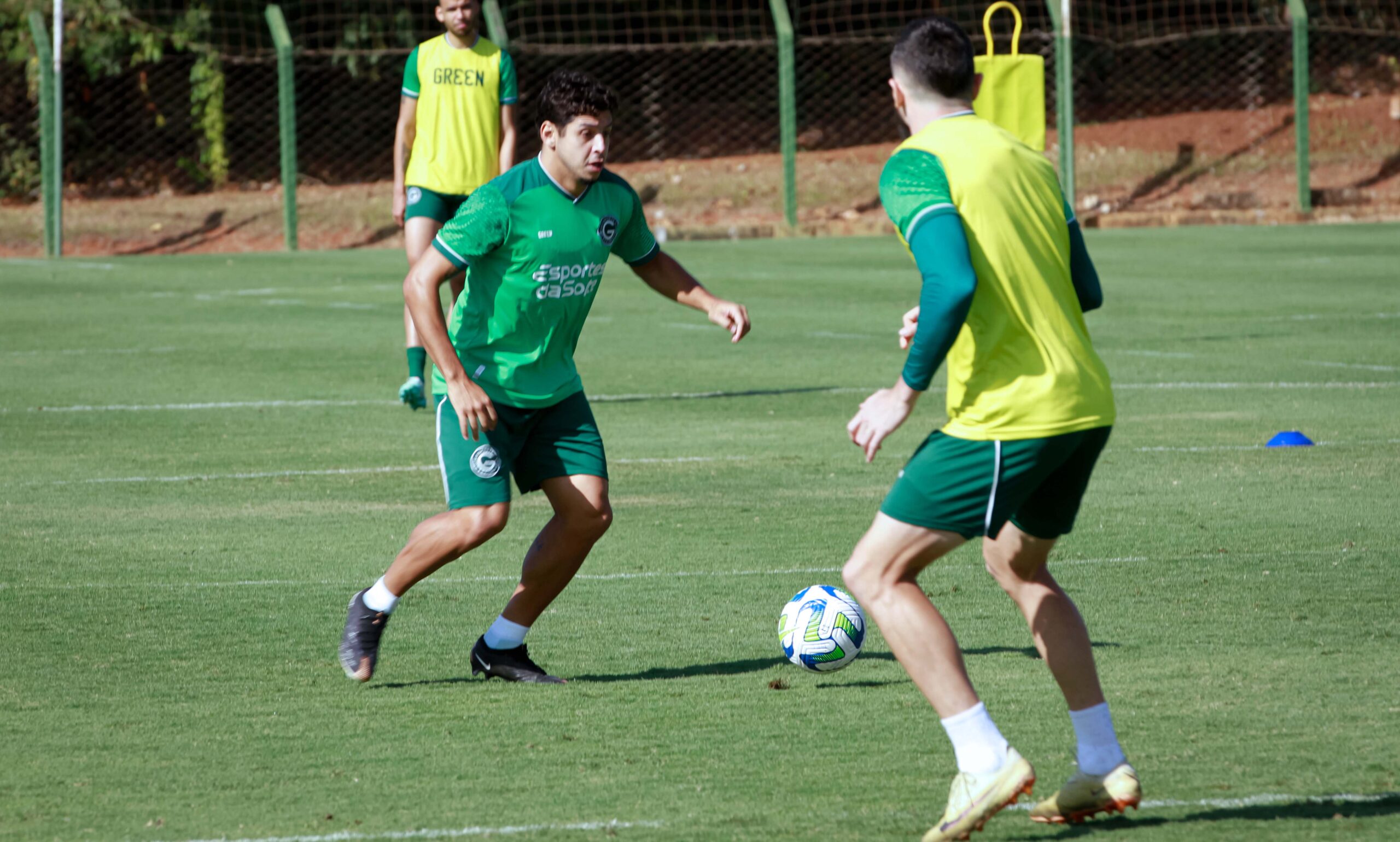 guilherme marques