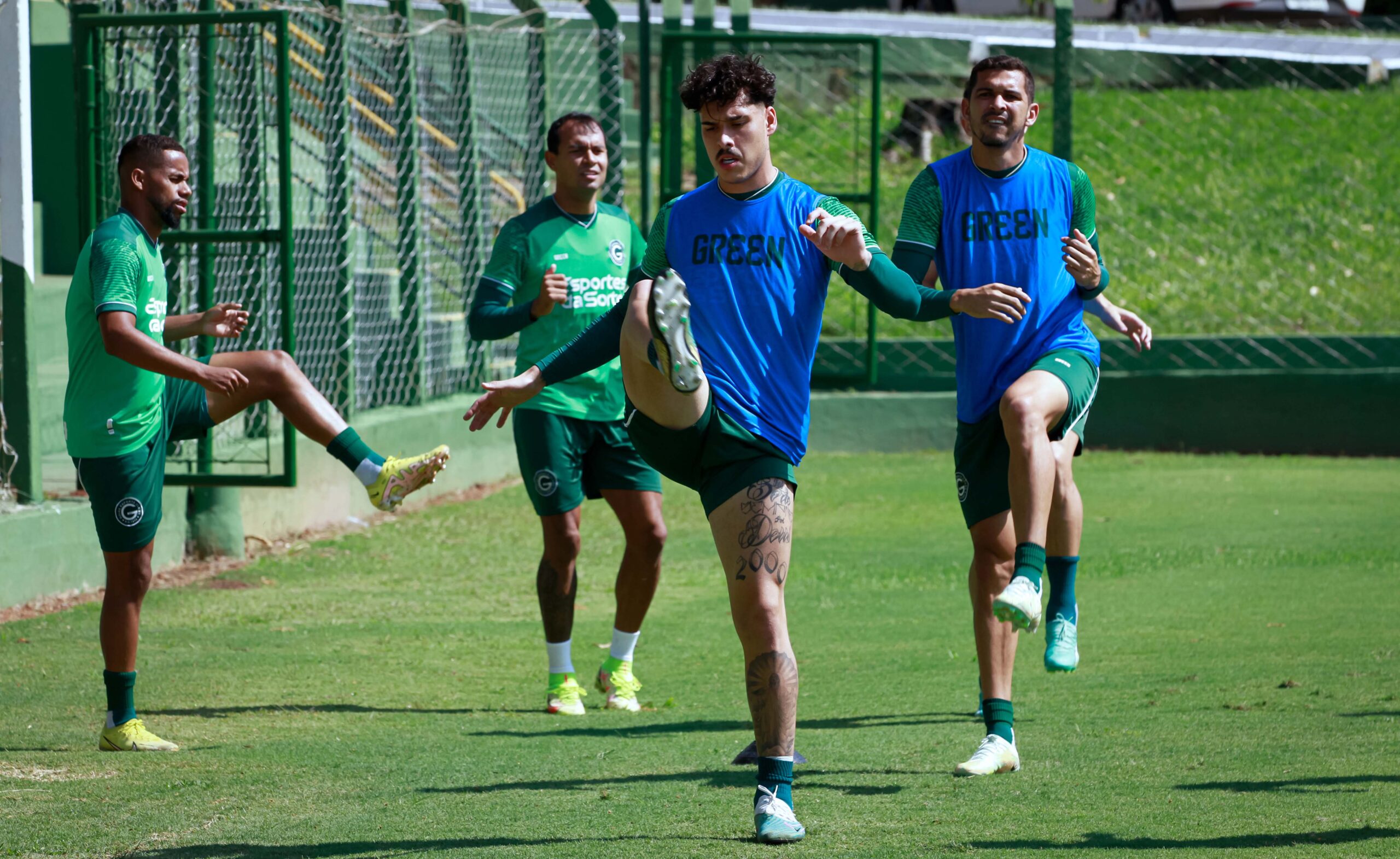 lucas halter lucas halter