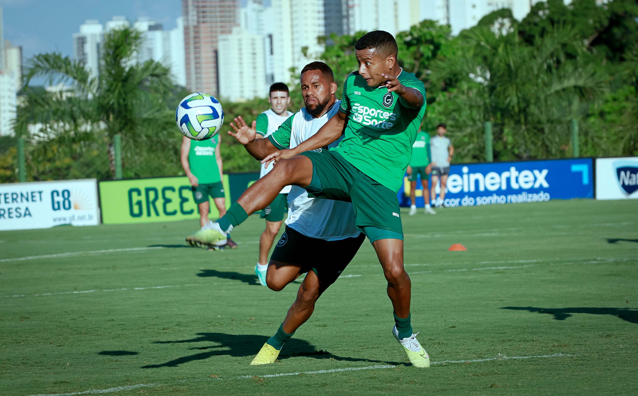 maguinho