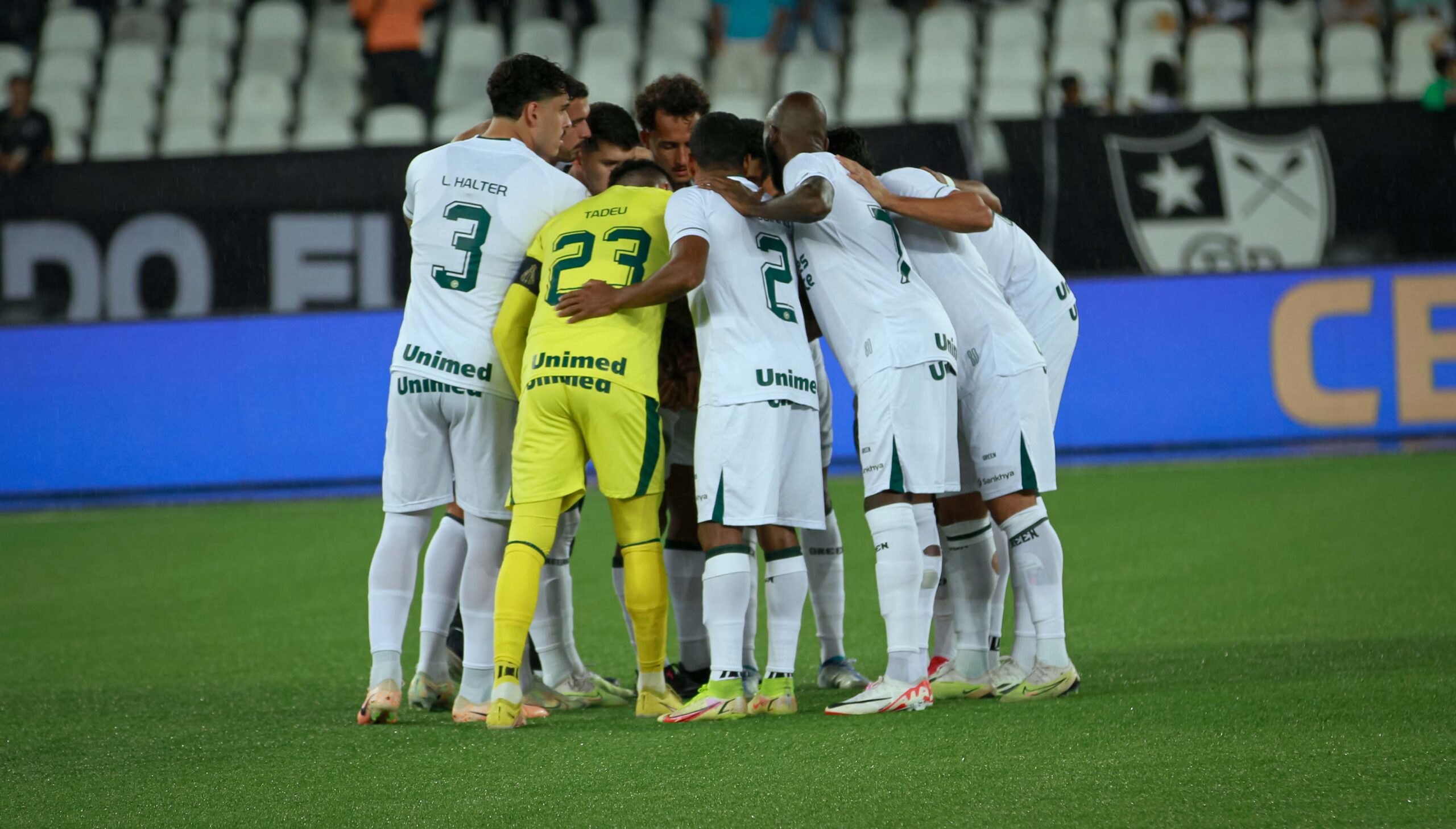 goiás x botafogo
