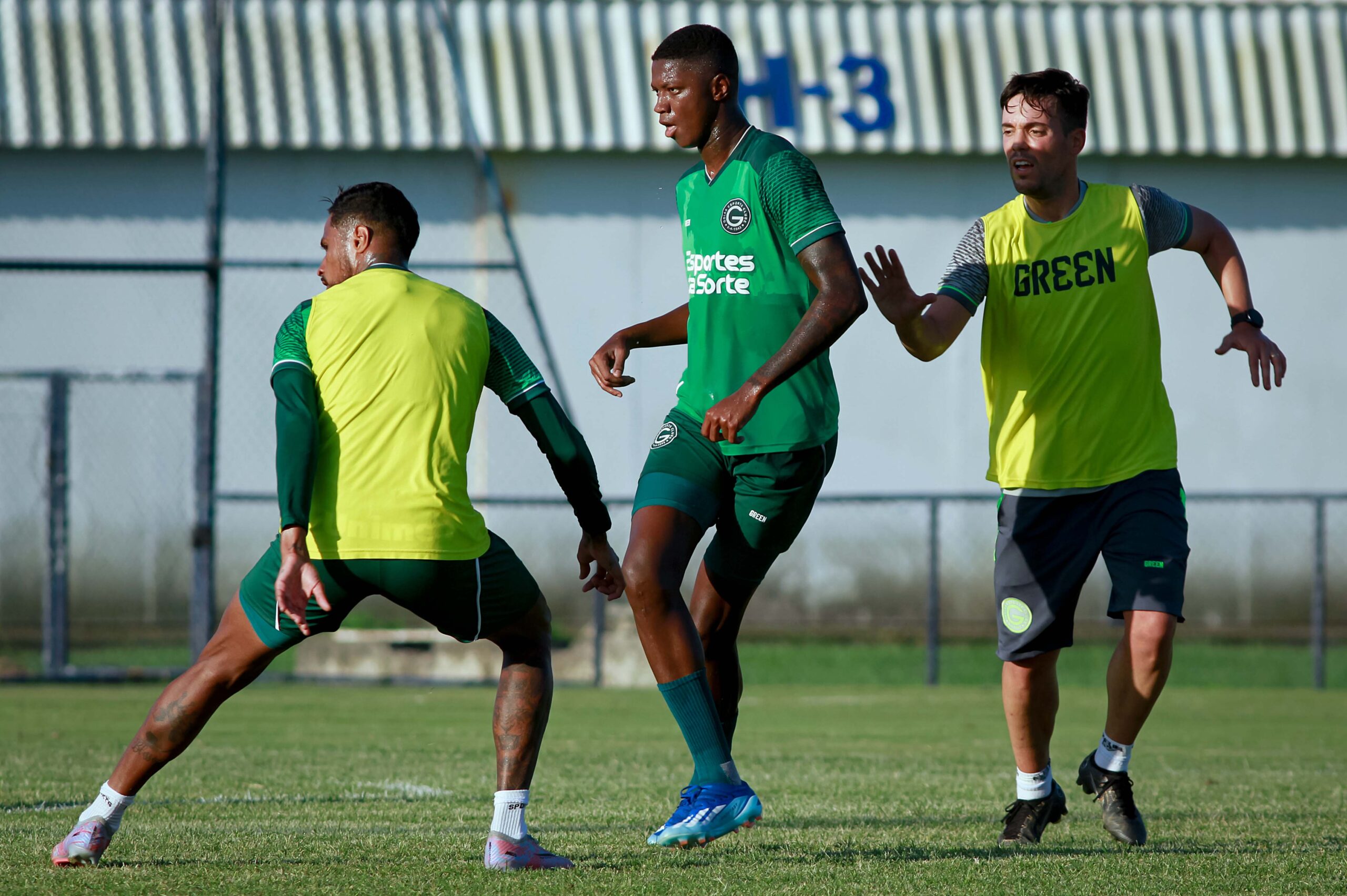 matheus babi goiás