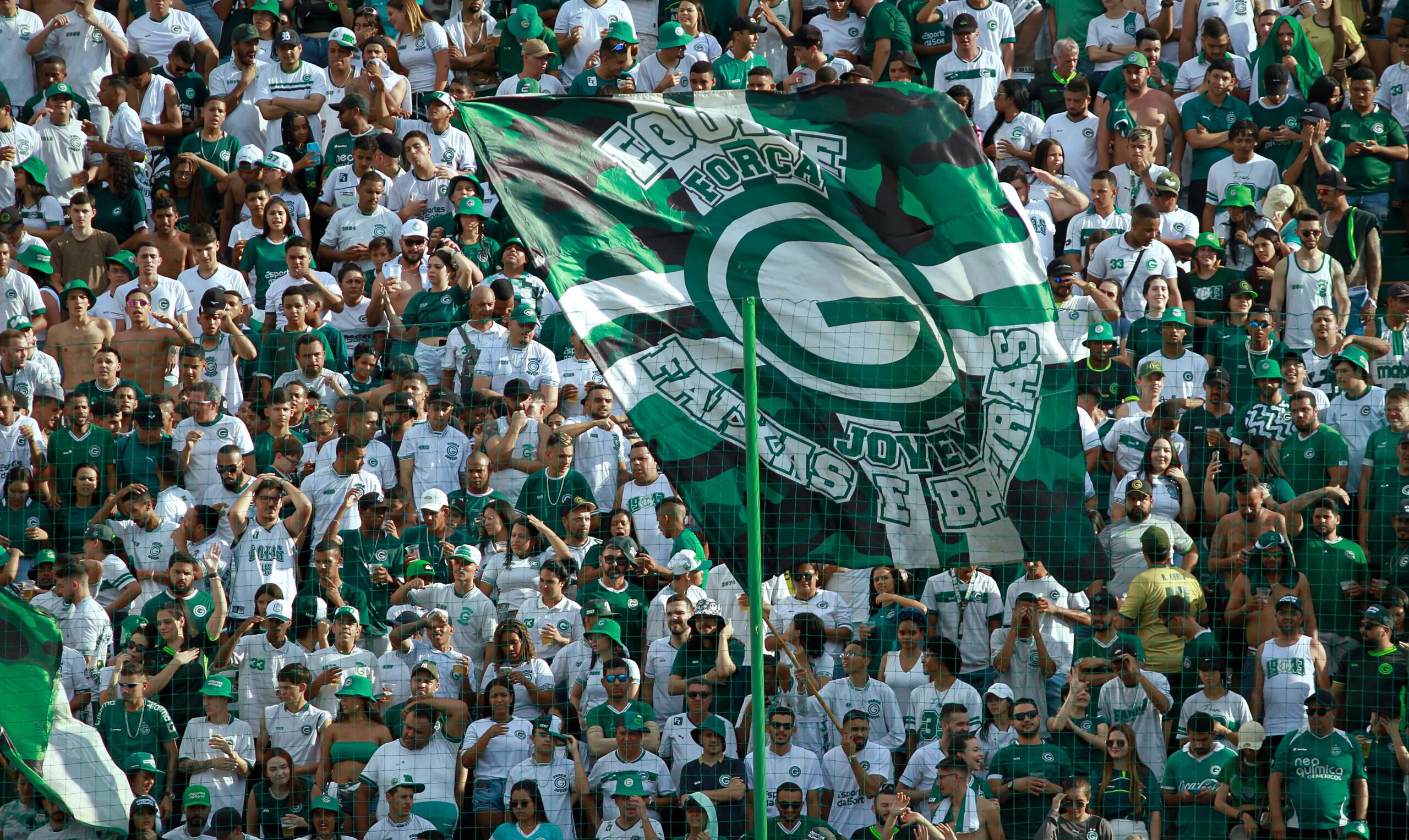 torcida goias