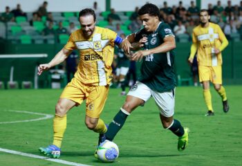 Pedrinho Goiás Brasiliense