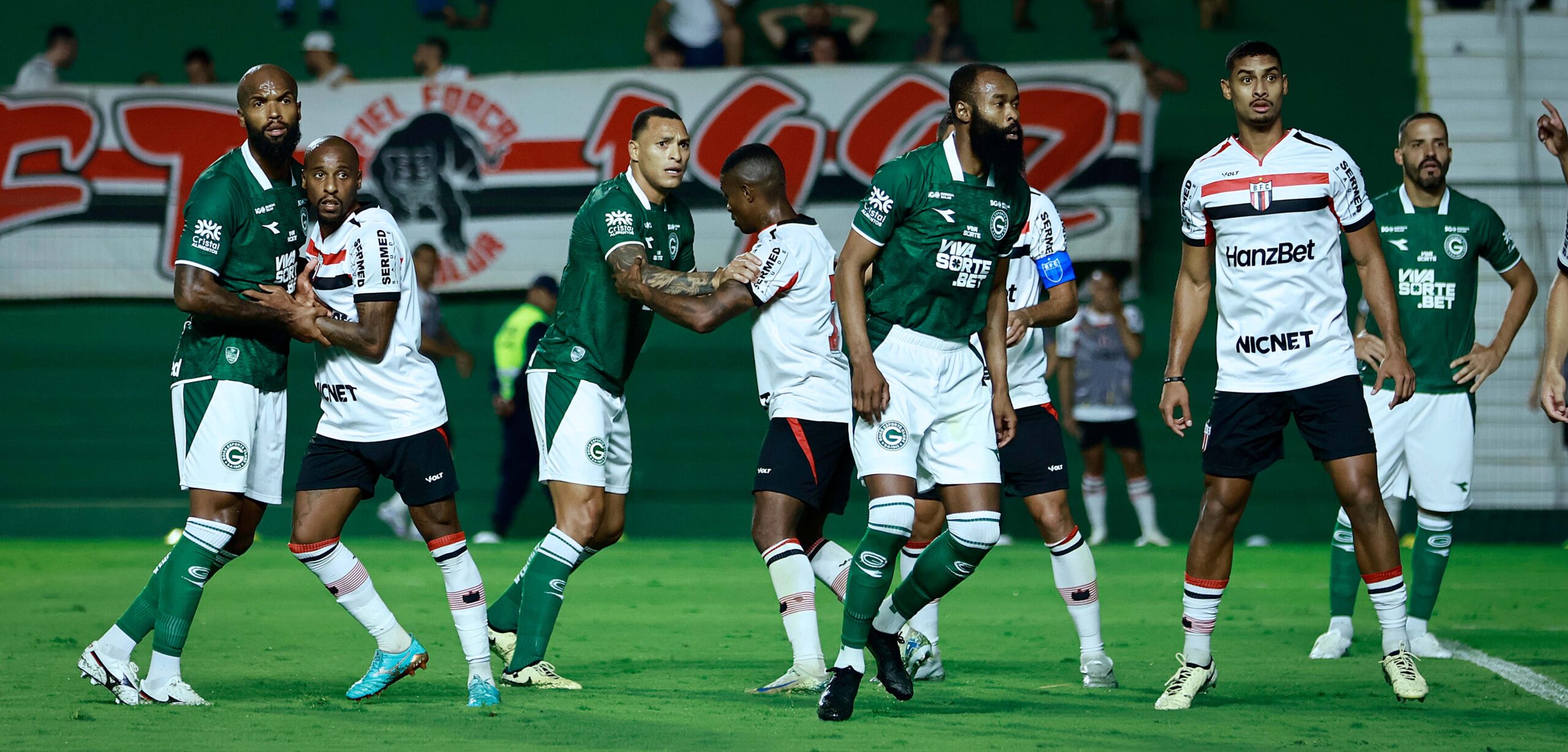 Goiás Botafogo SP