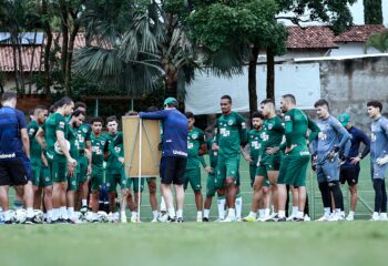 Elenco