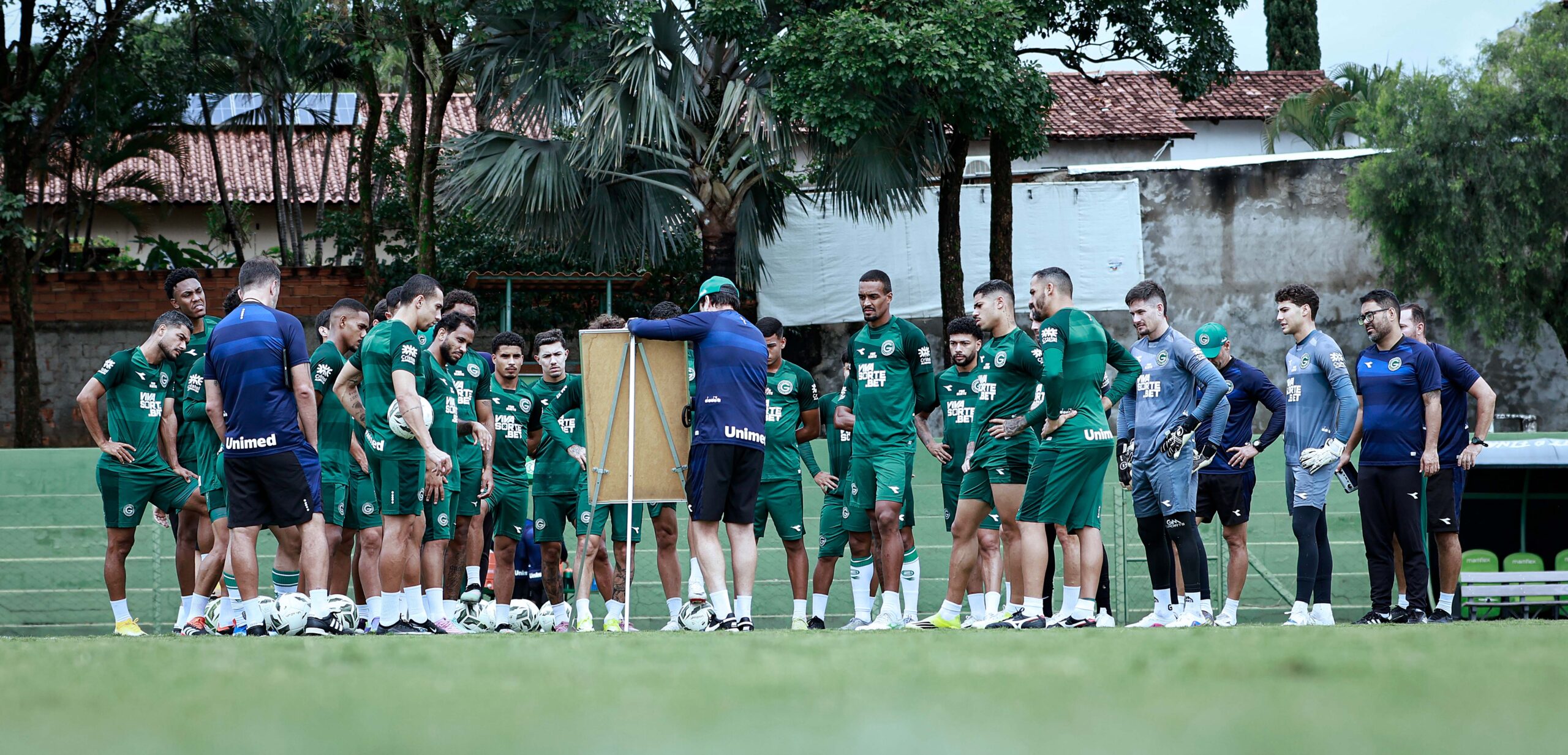 Elenco