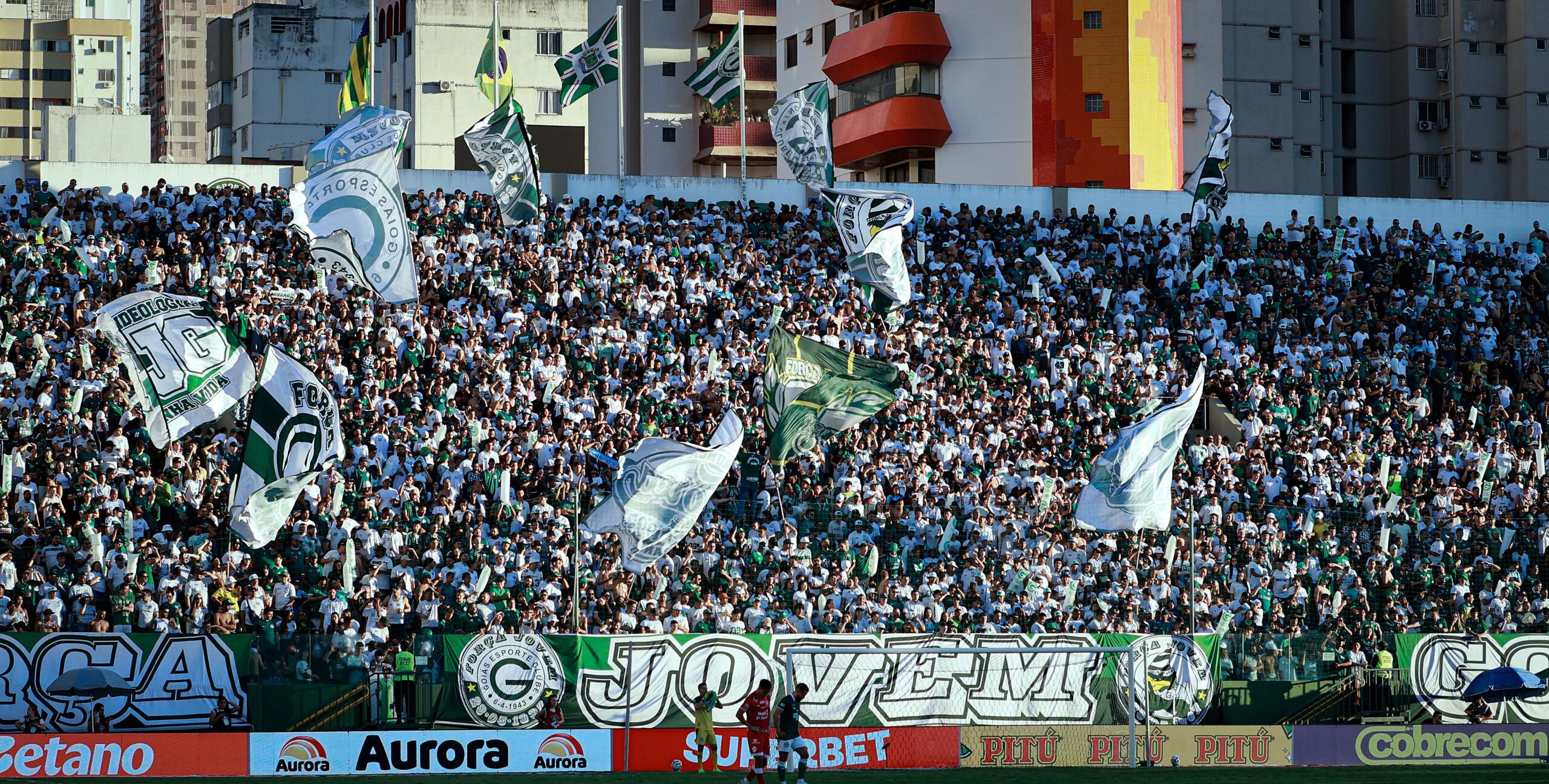 Torcida