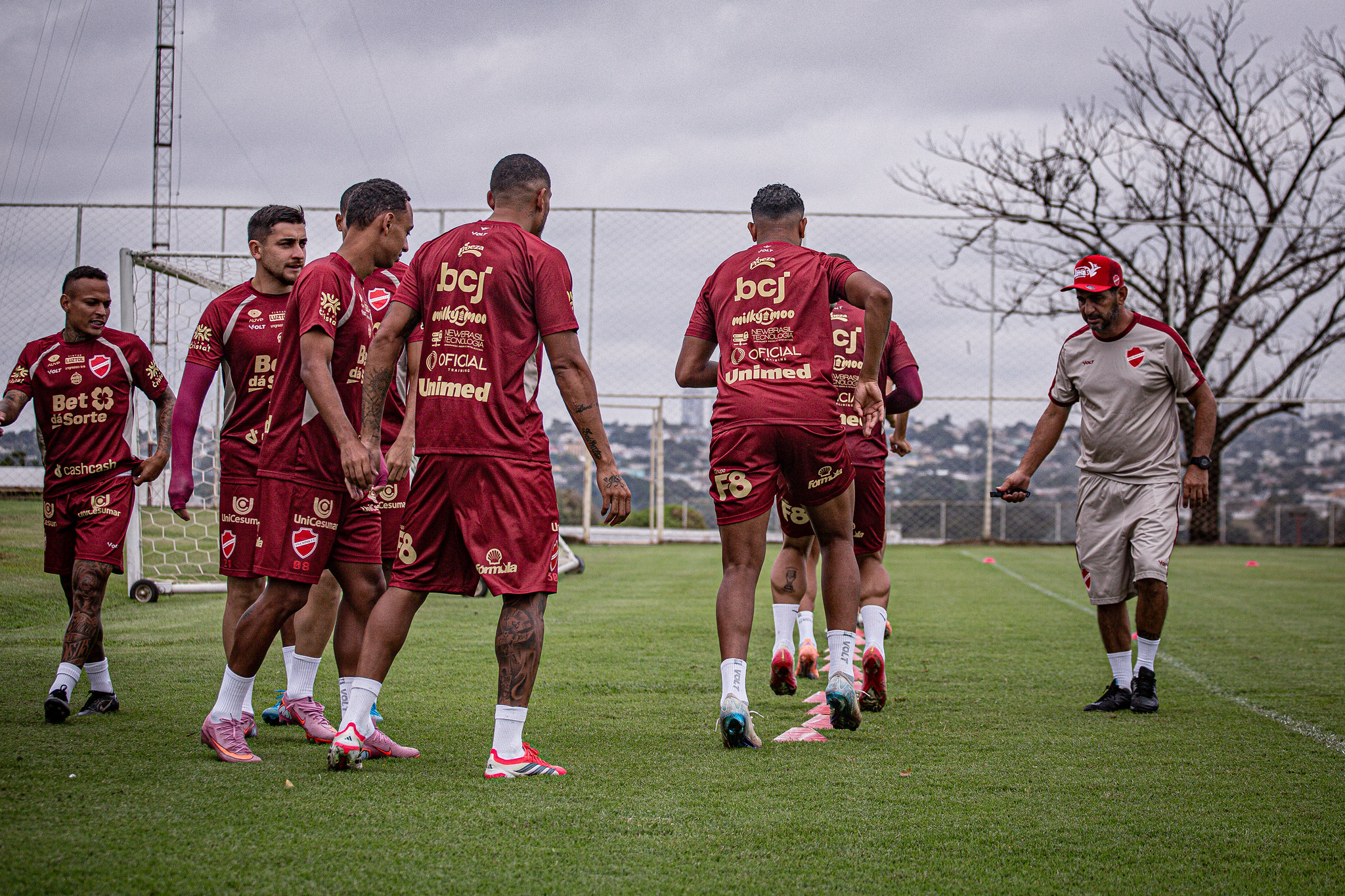 Elenco