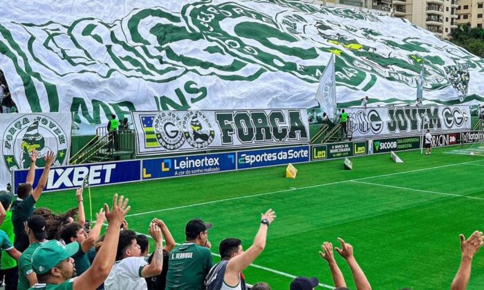 Torcida goiás