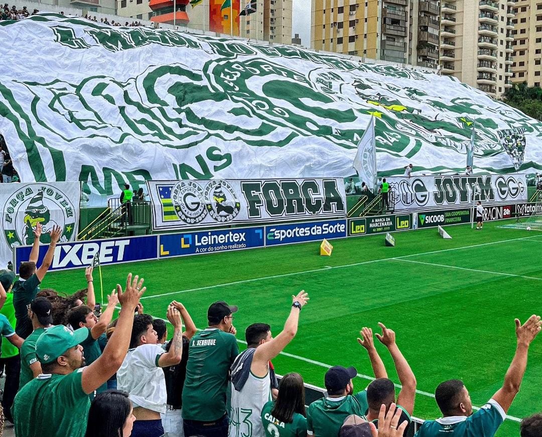 Torcida goiás