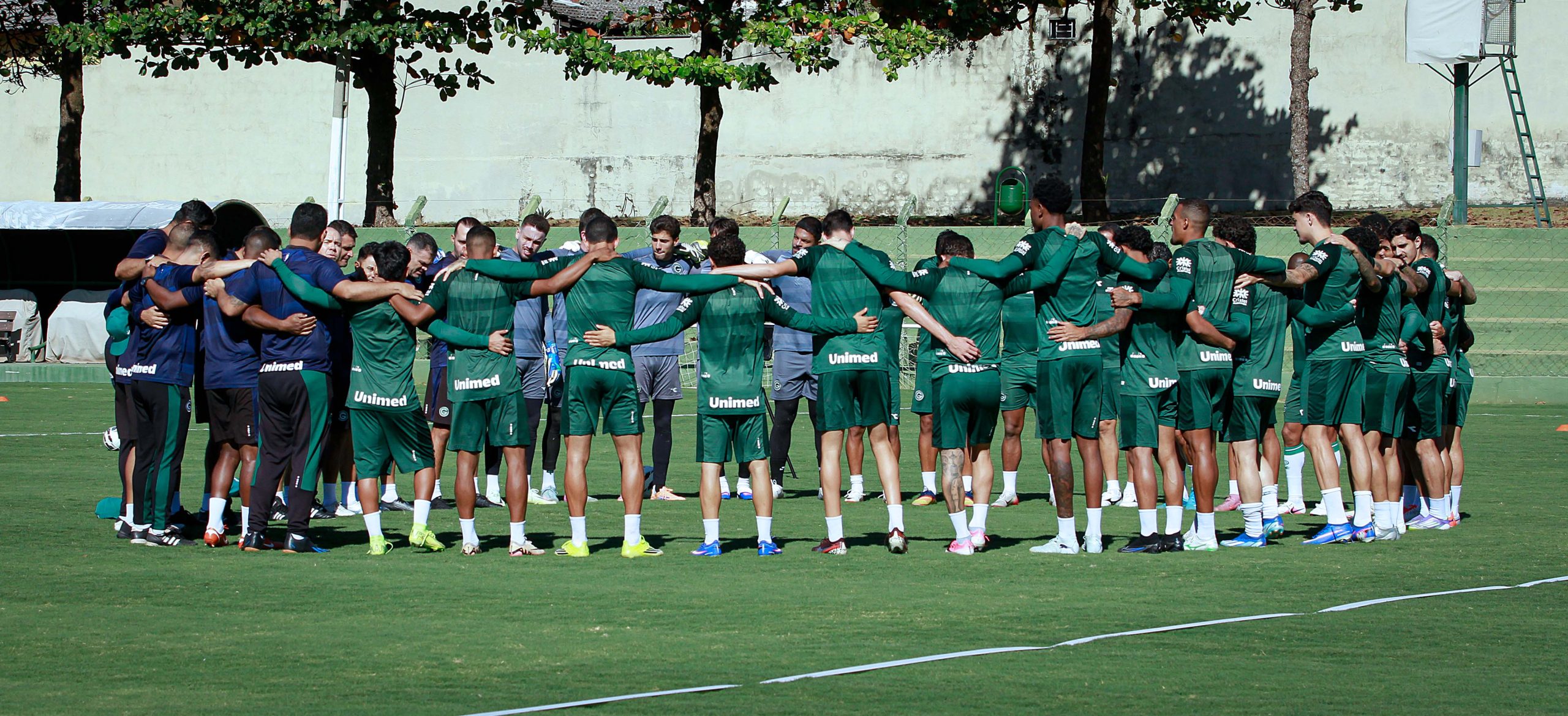 Elenco